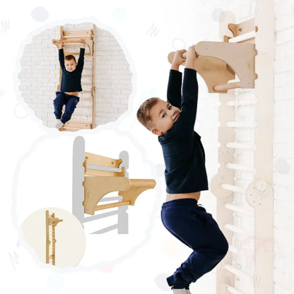Gym Addition to the Triangle Ladder